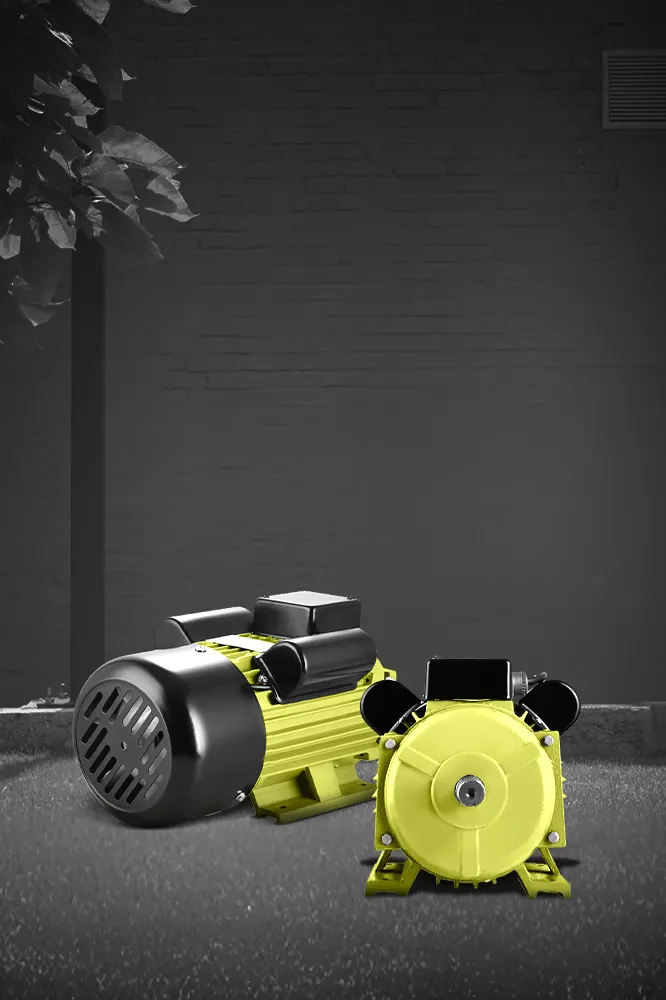 Electric Motors