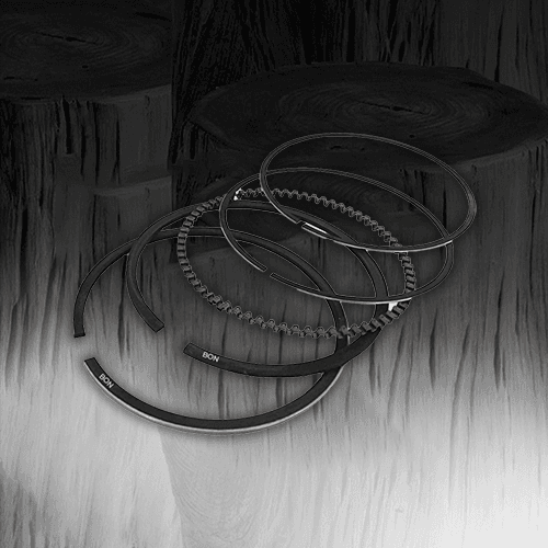 Piston Rings