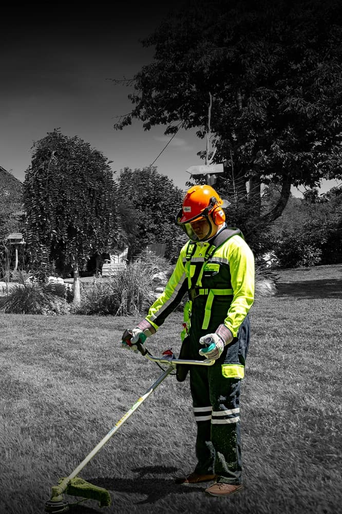 Brush Cutter
