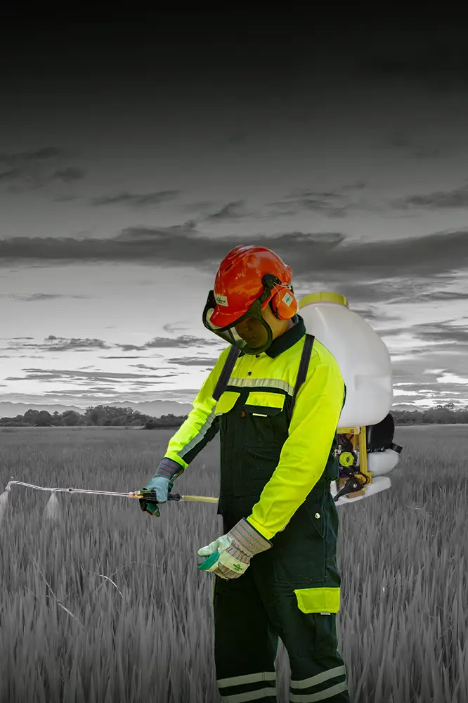 Knapsack Sprayer