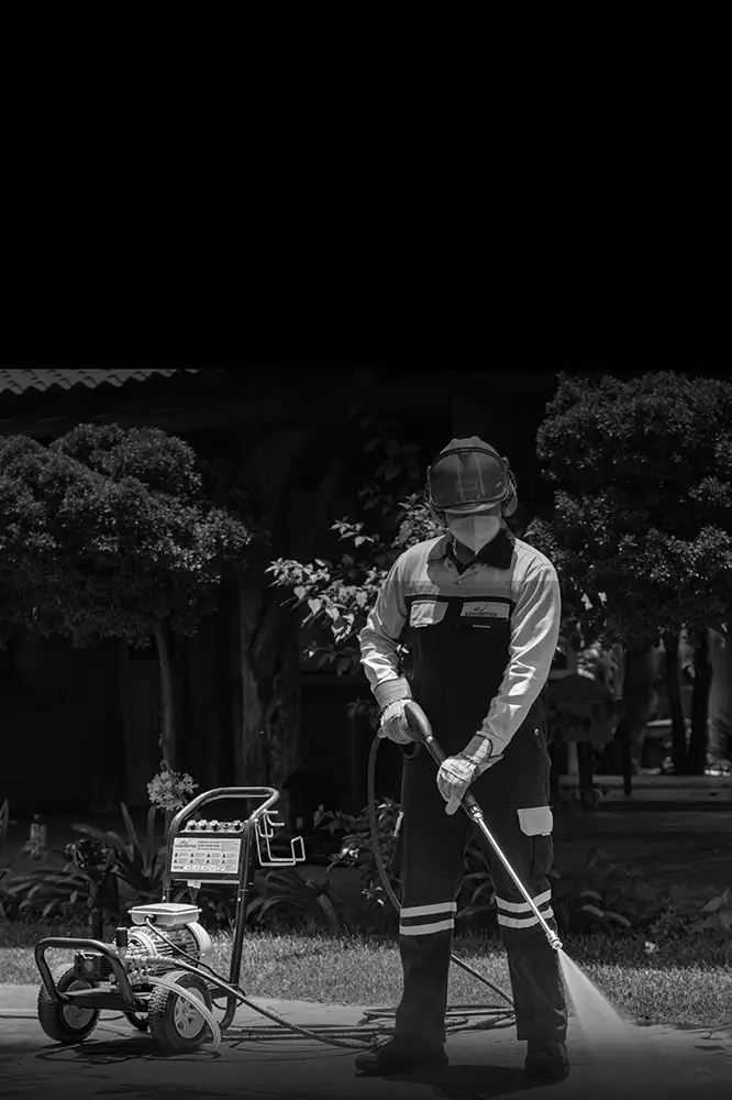 Electric Pressure Washer