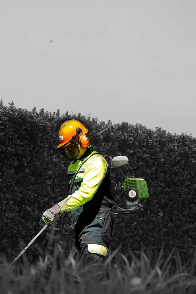 Backpack Brush Cutter