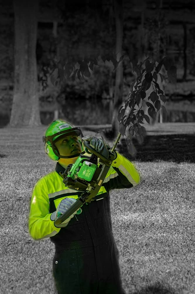 Hedge Trimmer