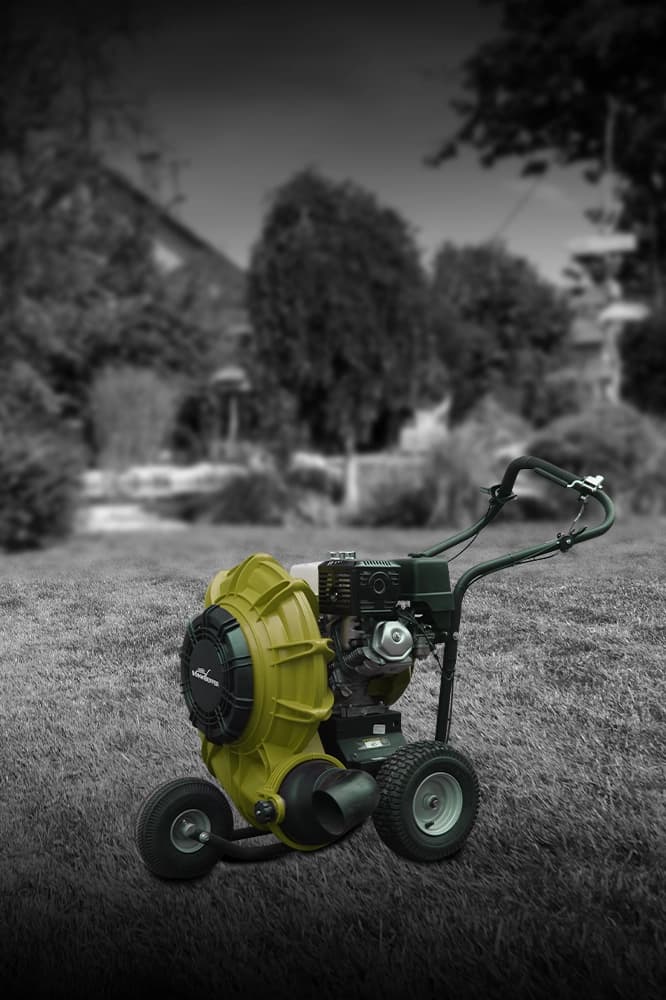 Leaf Blower